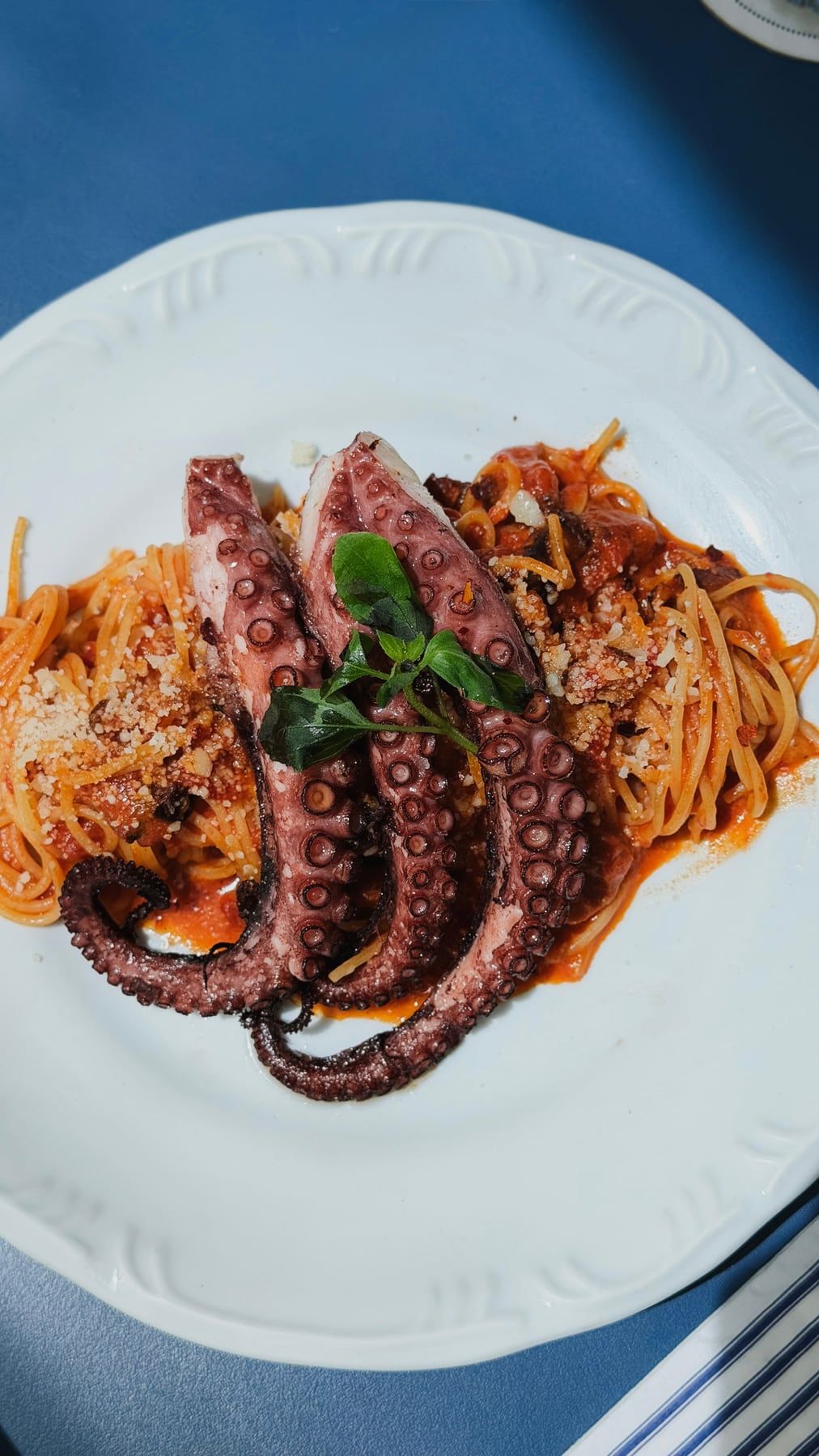 Espaguete ao molho de tomate com tentáculos de polvo grelhados e manjericão, num prato branco.